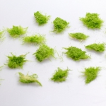 植え方植え方(1～2cmに小分け)　ウォーターローン